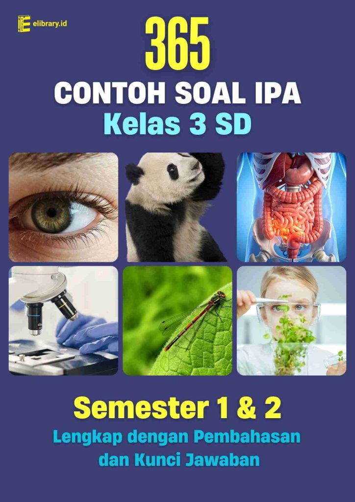5 Rahasia Sukses Ujian dengan Contoh Soal dan Pembahasan IPA Kelas 3 SMK Terlengkap 2026 5 Rahasia Sukses Ujian dengan Contoh Soal dan Pembahasan IPA Kelas 3 SMK Terlengkap 2026