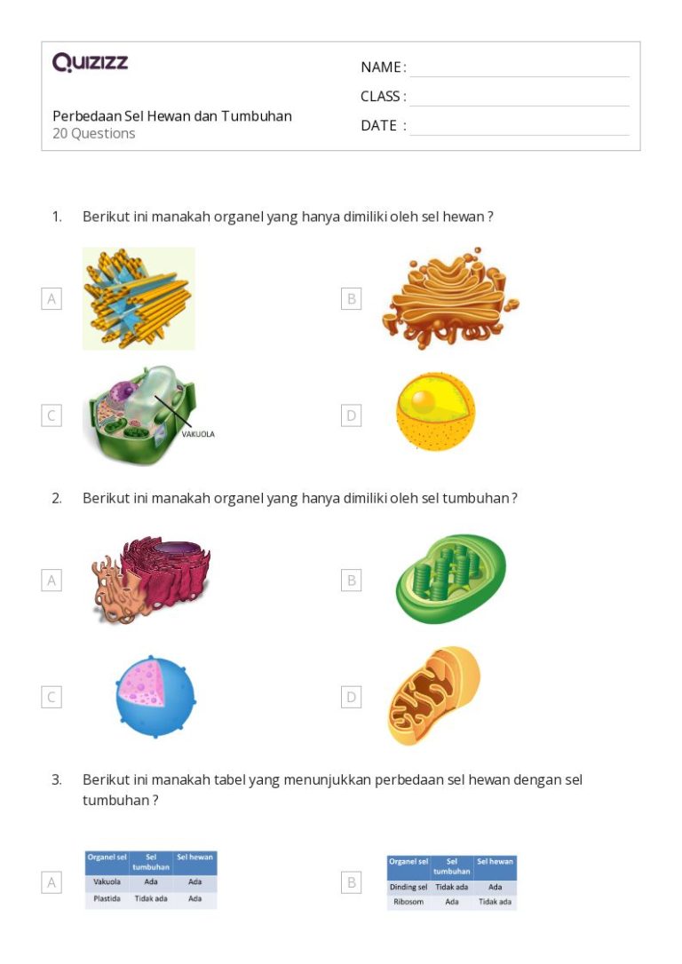 7 Rahasia Lolos Ujian Biologi 2026 Pelajari Contoh Soal dan Kunci Biologi Sel Kelas 3 SMA 7 Rahasia Lolos Ujian Biologi 2026 Pelajari Contoh Soal dan Kunci Biologi Sel Kelas 3 SMA