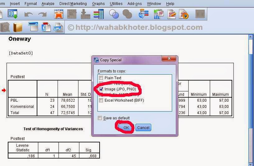 Mengubah File Data SPSS ke Format Word Panduan Lengkap untuk Analisis