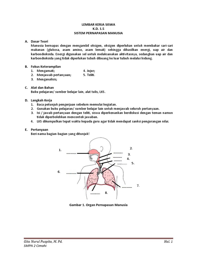 25 Contoh Soal Biologi Kelas 11 Bab 4 dari Bimbel Clinic: Kunci Sukses Ujian 2026