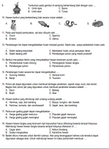 3 Fakta Mengejutkan dari Soal IPA Kelas 6 Semester 1 2021 yang Wajib Tahu