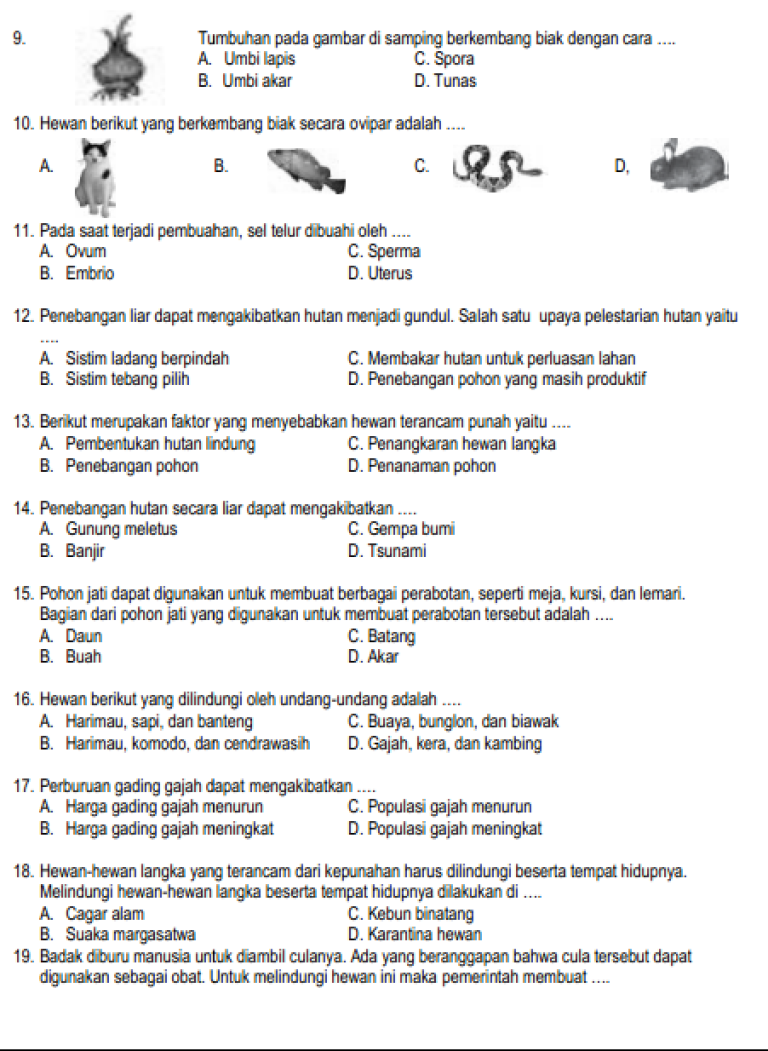 3 Fakta Mengejutkan dari Soal IPA Kelas 6 Semester 1 2021 yang Wajib Tahu 3 Fakta Mengejutkan dari Soal IPA Kelas 6 Semester 1 2021 yang Wajib Tahu