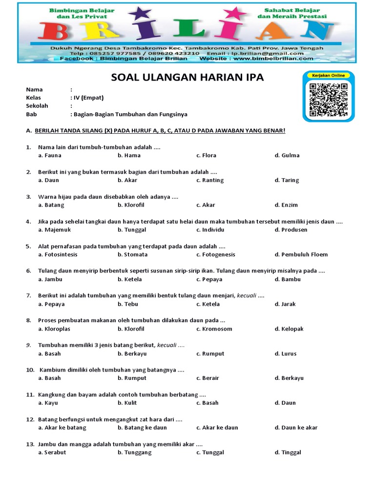Ternyata Ini Dia Kumpulan Contoh Soal Ulangan IPA Kelas 4 SD KD 3.6 yang Sering Muncul di Ujian 2026 Ternyata Ini Dia Kumpulan Contoh Soal Ulangan IPA Kelas 4 SD KD 3.6 yang Sering Muncul di Ujian 2026